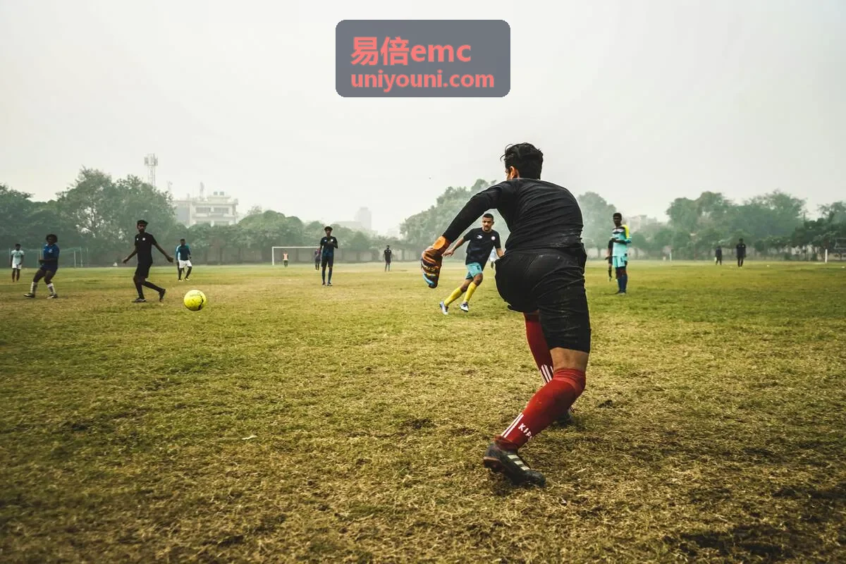 易倍emc客户能效案例